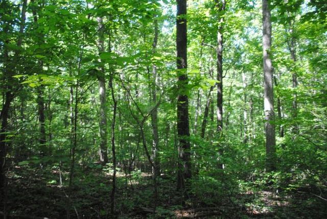 0 S Marble Top Road, Chickamauga, GA 30707