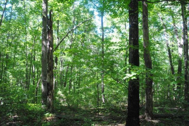 0 S Marble Top Road, Chickamauga, GA 30707