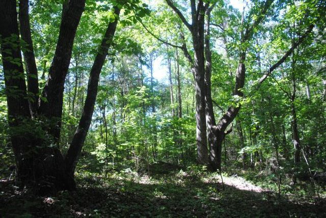 0 S Marble Top Road, Chickamauga, GA 30707