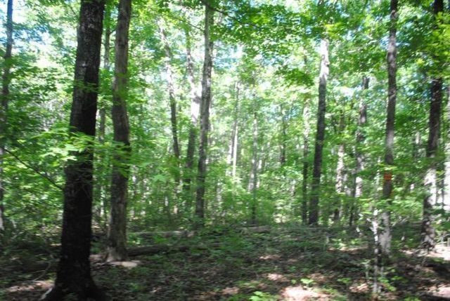 0 S Marble Top Road, Chickamauga, GA 30707
