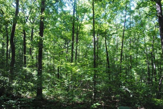 0 S Marble Top Road, Chickamauga, GA 30707