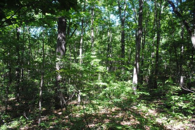 0 S Marble Top Road, Chickamauga, GA 30707