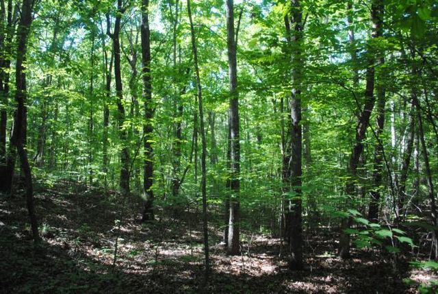 0 S Marble Top Road, Chickamauga, GA 30707