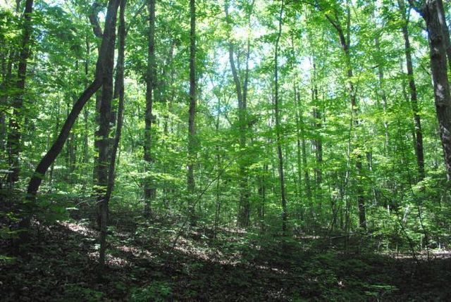 0 S Marble Top Road, Chickamauga, GA 30707