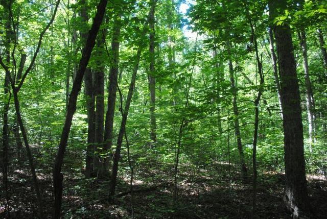 0 S Marble Top Road, Chickamauga, GA 30707