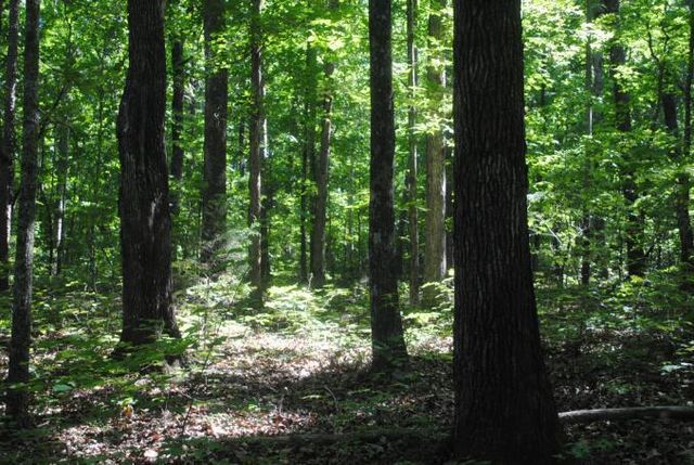 0 S Marble Top Road, Chickamauga, GA 30707