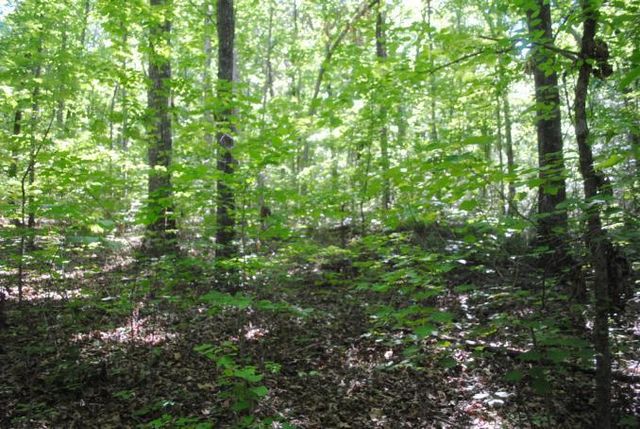 0 S Marble Top Road, Chickamauga, GA 30707