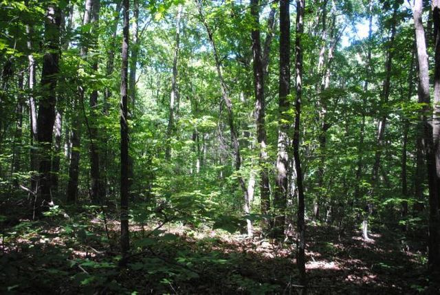 0 S Marble Top Road, Chickamauga, GA 30707