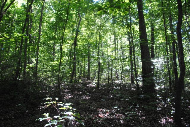 0 S Marble Top Road, Chickamauga, GA 30707