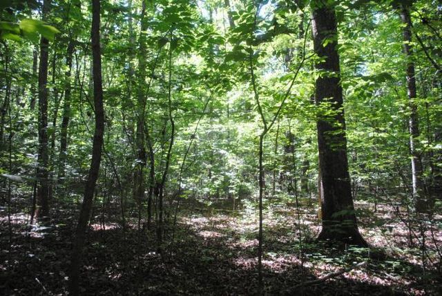 0 S Marble Top Road, Chickamauga, GA 30707