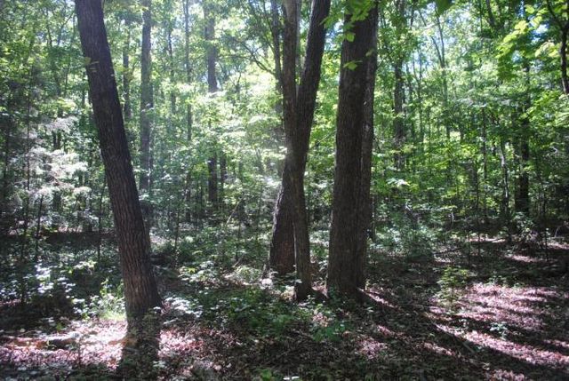 0 S Marble Top Road, Chickamauga, GA 30707
