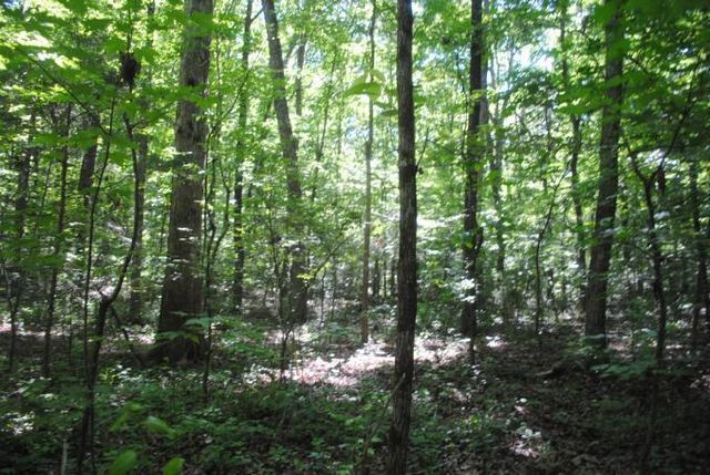 0 S Marble Top Road, Chickamauga, GA 30707