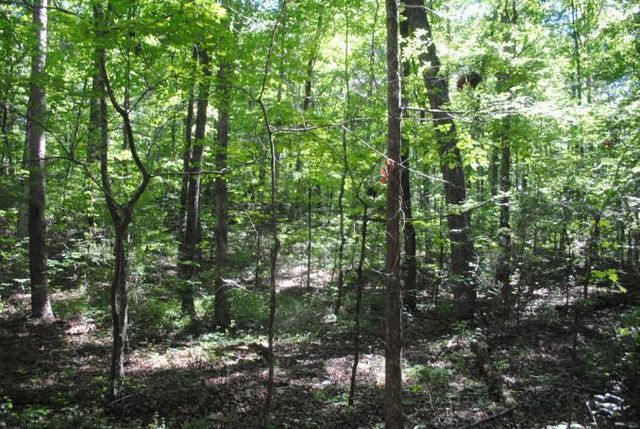 0 S Marble Top Road, Chickamauga, GA 30707