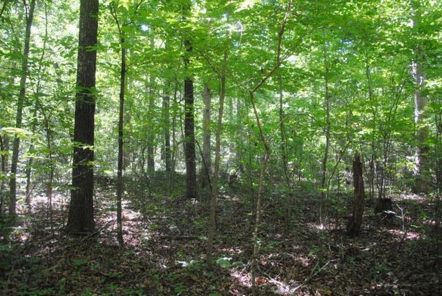 0 S Marble Top Road, Chickamauga, GA 30707