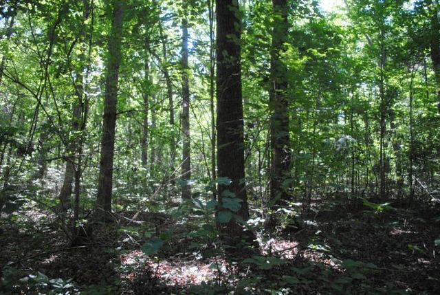 0 S Marble Top Road, Chickamauga, GA 30707
