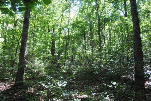0 S Marble Top Road, Chickamauga, GA 30707