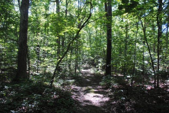 0 S Marble Top Road, Chickamauga, GA 30707