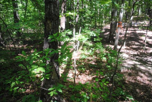 0 S Marble Top Road, Chickamauga, GA 30707