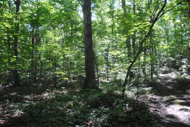 0 S Marble Top Road, Chickamauga, GA 30707