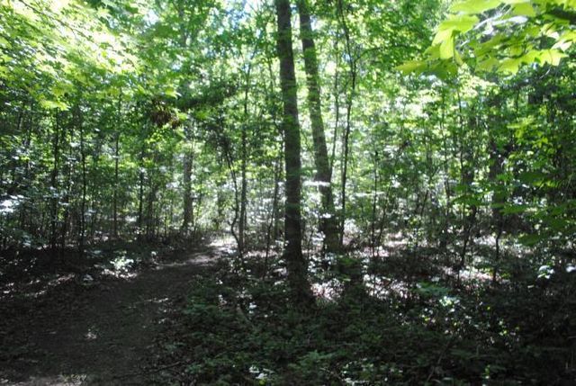0 S Marble Top Road, Chickamauga, GA 30707