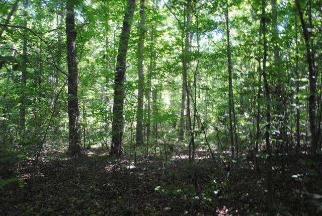 0 S Marble Top Road, Chickamauga, GA 30707
