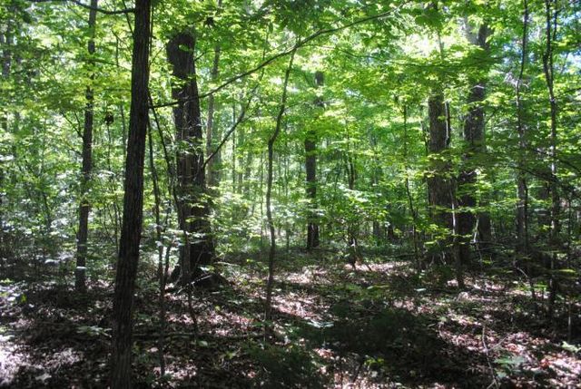0 S Marble Top Road, Chickamauga, GA 30707