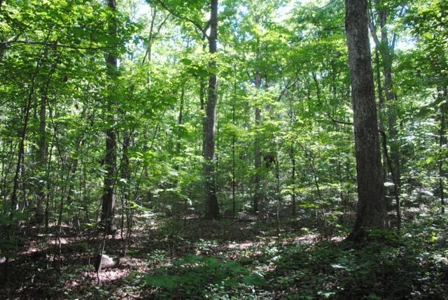 0 S Marble Top Road, Chickamauga, GA 30707