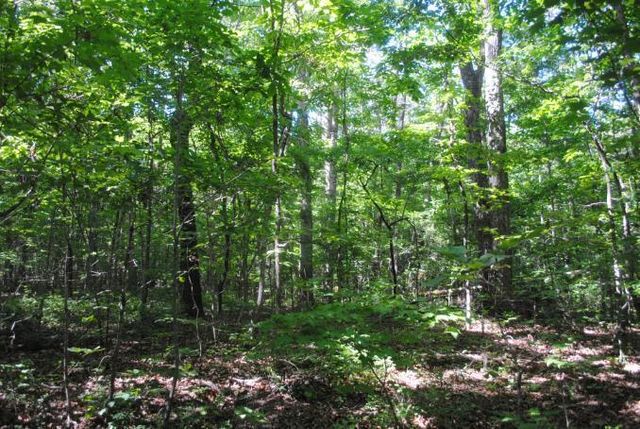 0 S Marble Top Road, Chickamauga, GA 30707