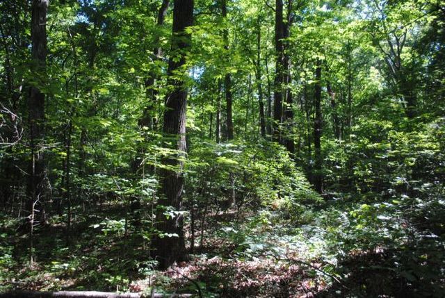 0 S Marble Top Road, Chickamauga, GA 30707