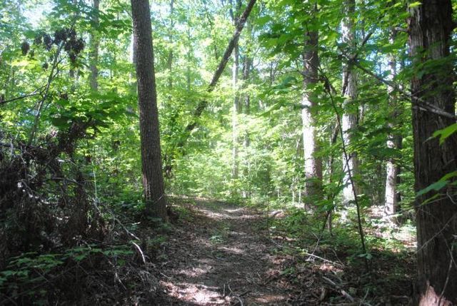 0 S Marble Top Road, Chickamauga, GA 30707