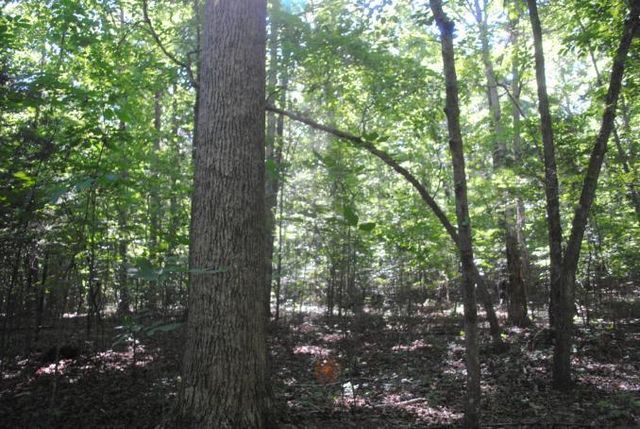 0 S Marble Top Road, Chickamauga, GA 30707