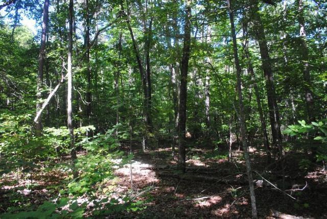0 S Marble Top Road, Chickamauga, GA 30707