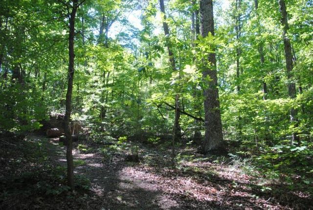 0 S Marble Top Road, Chickamauga, GA 30707