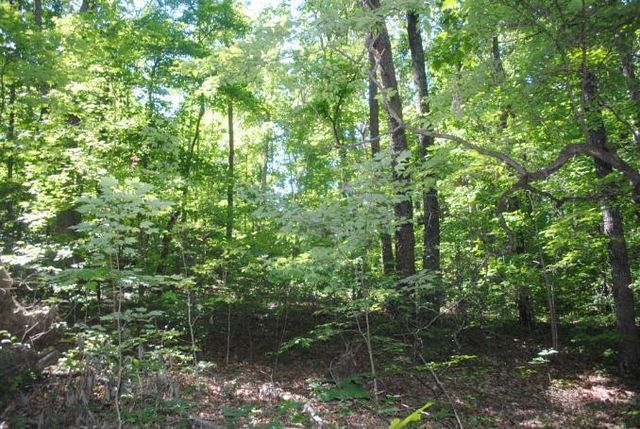 0 S Marble Top Road, Chickamauga, GA 30707
