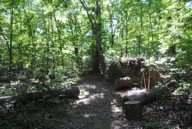 0 S Marble Top Road, Chickamauga, GA 30707