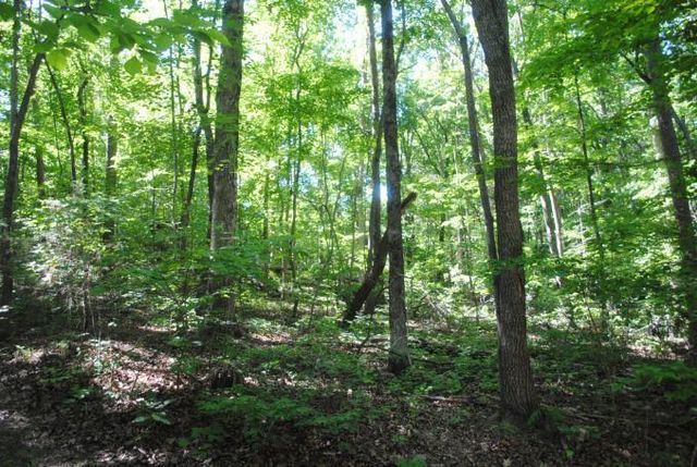 0 S Marble Top Road, Chickamauga, GA 30707
