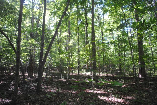 0 S Marble Top Road, Chickamauga, GA 30707