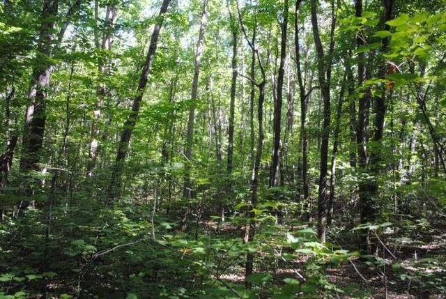 0 S Marble Top Road, Chickamauga, GA 30707