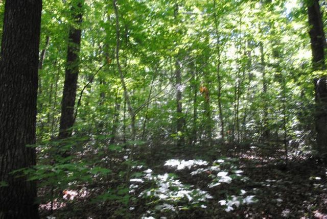 0 S Marble Top Road, Chickamauga, GA 30707