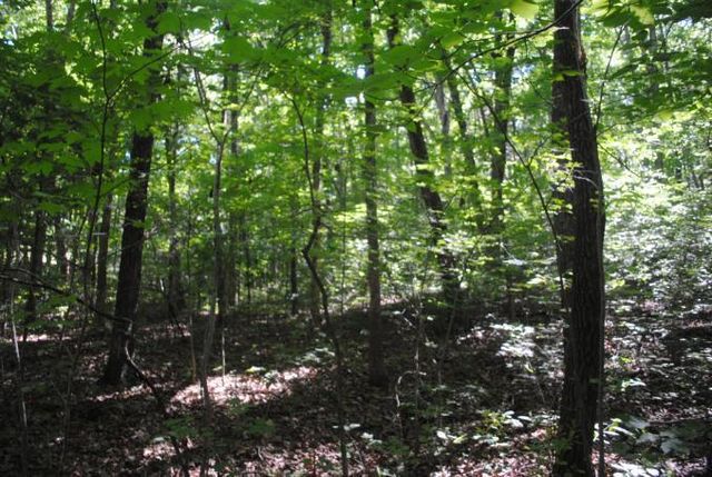 0 S Marble Top Road, Chickamauga, GA 30707