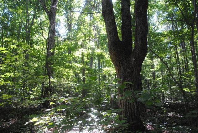 0 S Marble Top Road, Chickamauga, GA 30707