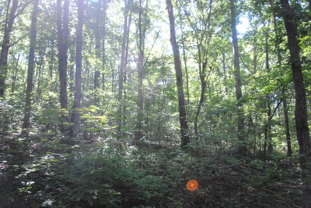 0 S Marble Top Road, Chickamauga, GA 30707