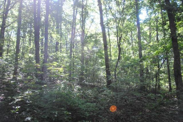 0 S Marble Top Road, Chickamauga, GA 30707