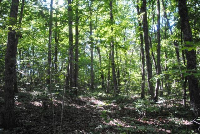 0 S Marble Top Road, Chickamauga, GA 30707