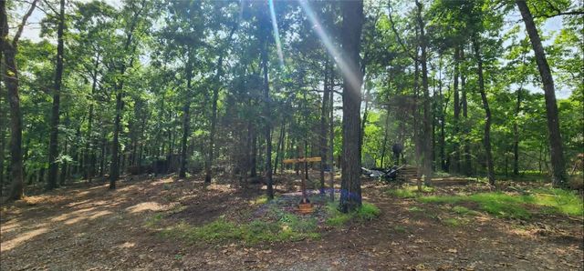 145 Sunny Springs Drive, Dover, AR 72837