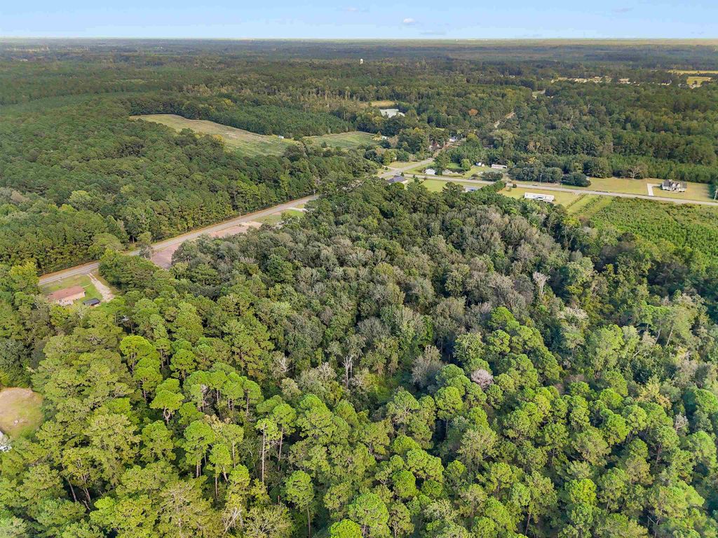 2647 Allen Dew Rd., Conway, SC 29527 — photo 3