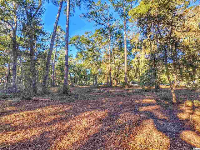 0 Ocean Hwy., Pawleys Island, SC 29585