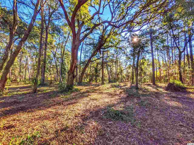 0 Ocean Hwy., Pawleys Island, SC 29585