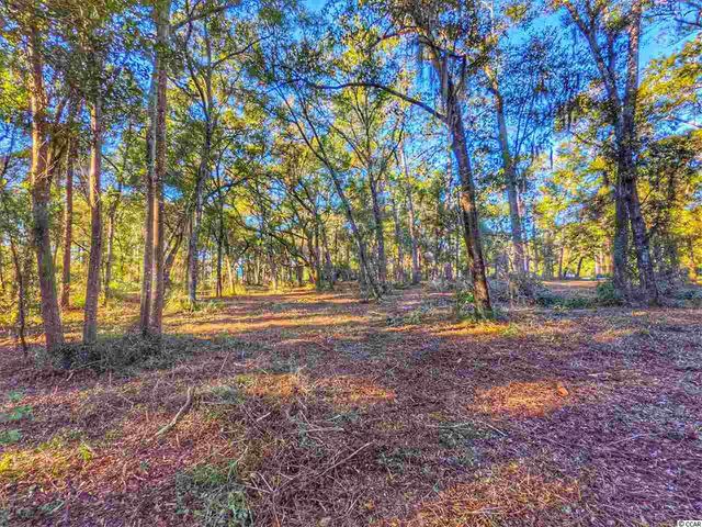 0 Ocean Hwy., Pawleys Island, SC 29585