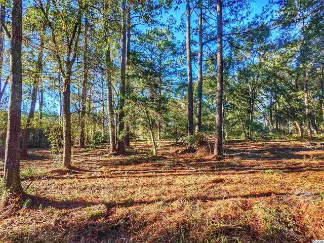 0 Ocean Hwy., Pawleys Island, SC 29585